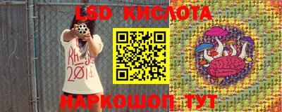 гидра Донской