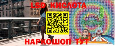 гидра Донской